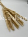 www.dece-dekoracje.pl