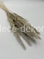 www.dece-dekoracje.pl