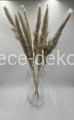 www.dece-dekoracje.pl