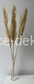 www.dece-dekoracje.pl