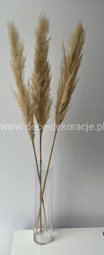 www.dece-dekoracje.pl