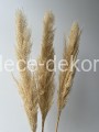 www.dece-dekoracje.pl