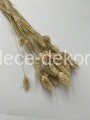www.dece-dekoracje.pl