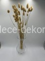 www.dece-dekoracje.pl