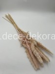 susz dekoracyjny