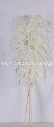 www.dece-dekoracje.pl
