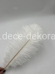 Pióra białe 40-45 cm