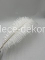www.dece-dekoracje.pl