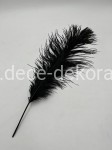 Pióra czarne 55-60 cm