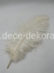 Pióra kremowe 55-60 cm