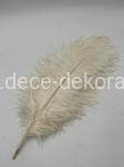 Pióra kremowe 50-55 cm