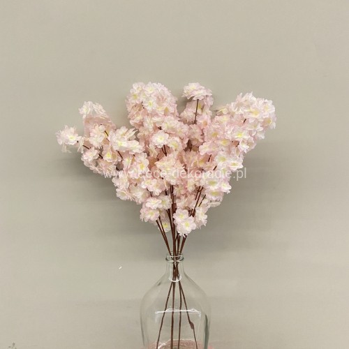 YBL-C3 LIGHT PINK (1).jpg