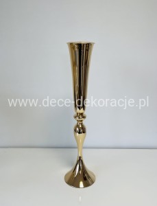 ŚWIECZNIK