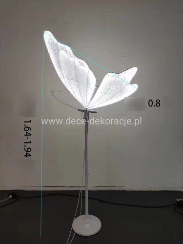 motyl.stały80.jpg