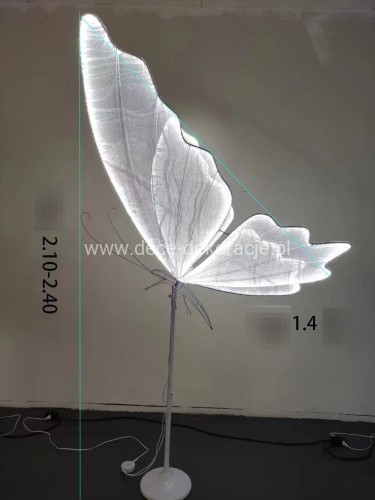 motyl.stały140.jpg