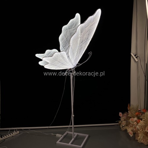 motyl.ruchomy120.jpg