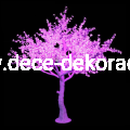 drzewkaxxl.png
