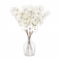c85f58fd-ca85-4fc8-be97-3a01d57fe540.png