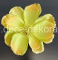 magnolia.jpg