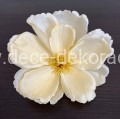 magnolia.jpg