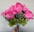 peonia.jpg