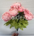 peonia.jpg