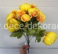 peonia.jpg