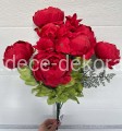 peonia.jpg