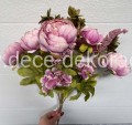 peonia.jpg