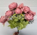 peonia.jpg