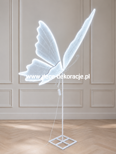 motyl.stały140.jpg