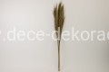 www.dece-dekoracje.pl